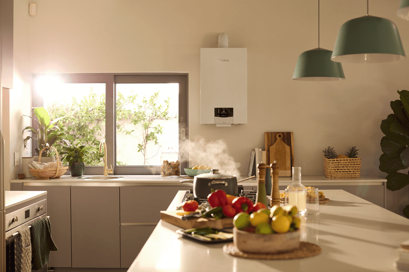 ecoTEC plus 35 kW scene view