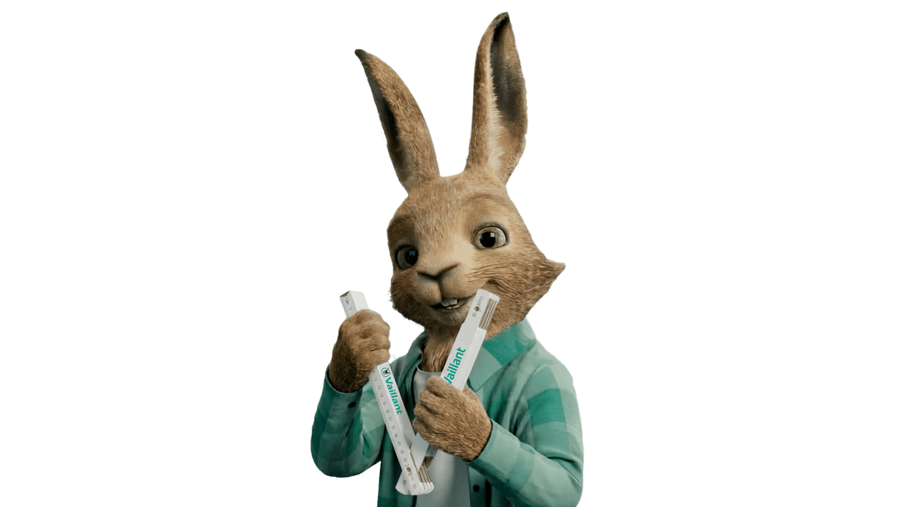 Vaillant tavşanı elinde bir katlama cetveli tutuyor