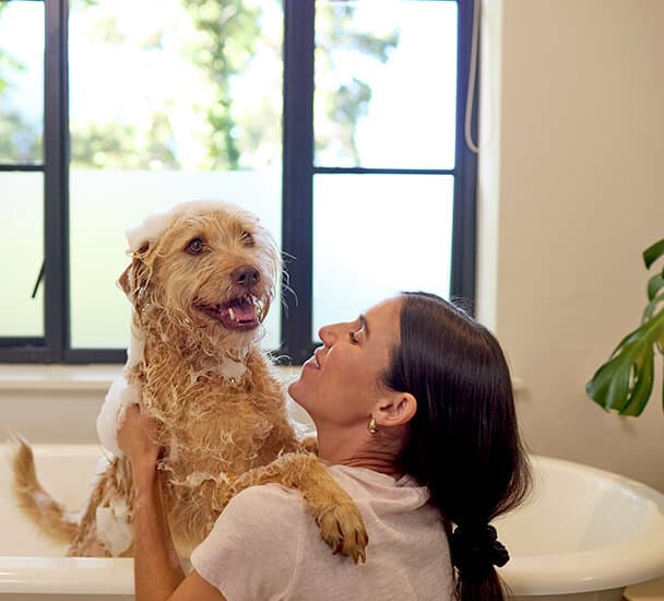 Bir kadın köpeği yıkıyor