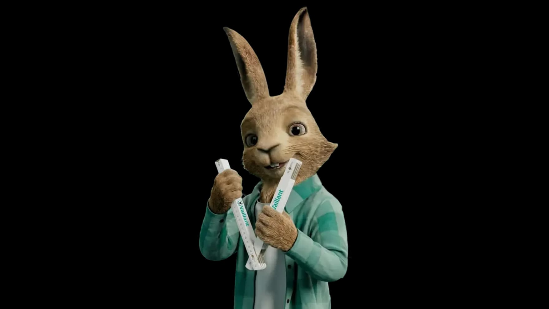 Vaillant tavşanı elinde bir katlama cetveli tutuyor