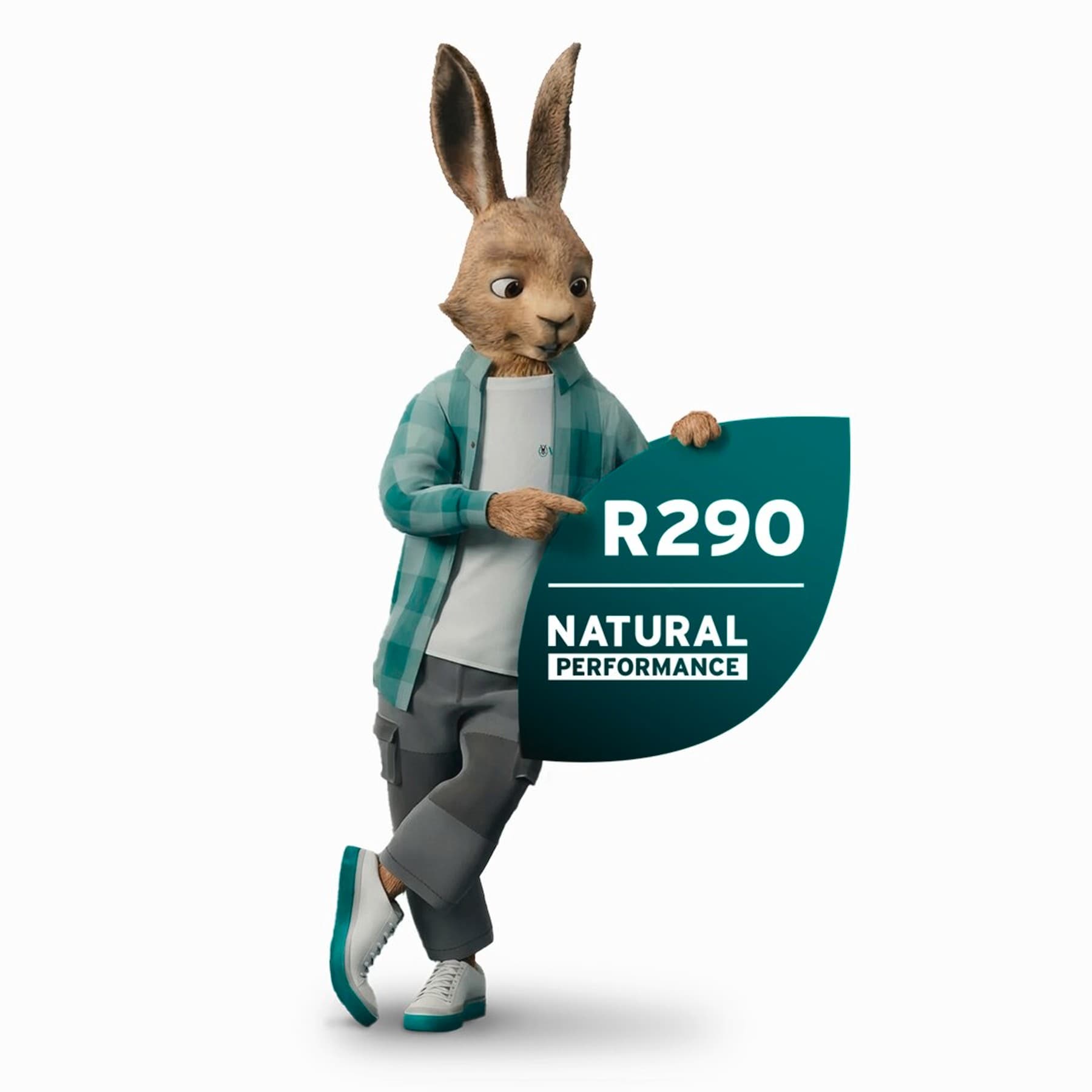 R290 etiketli Vaillant tavşan