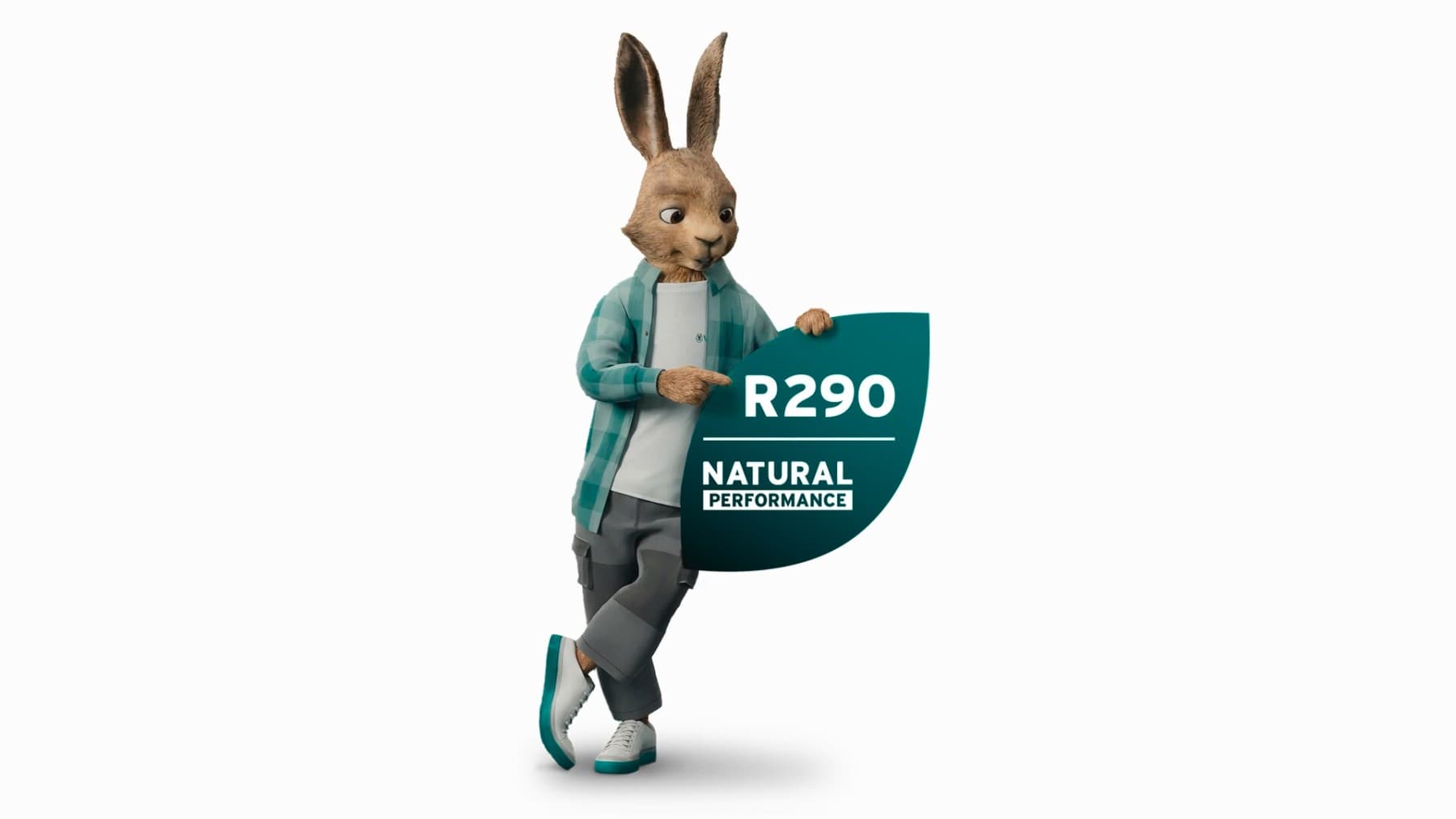 R290 etiketli ısı pompası