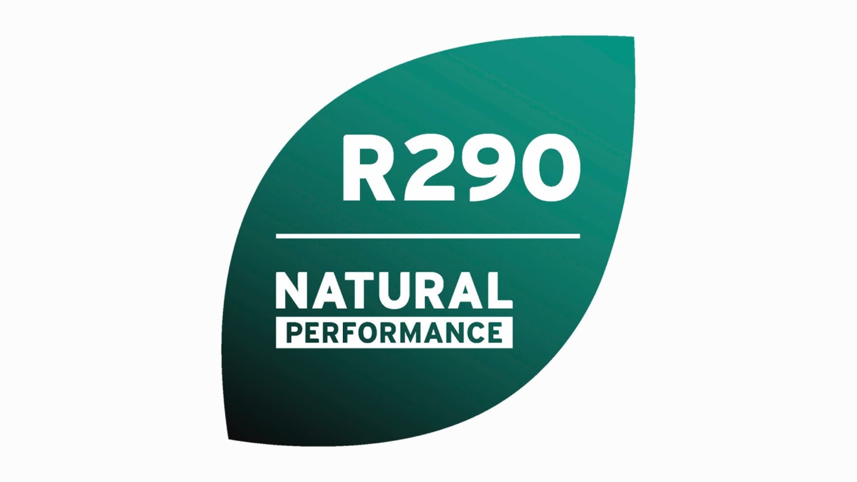 R290 rozeti