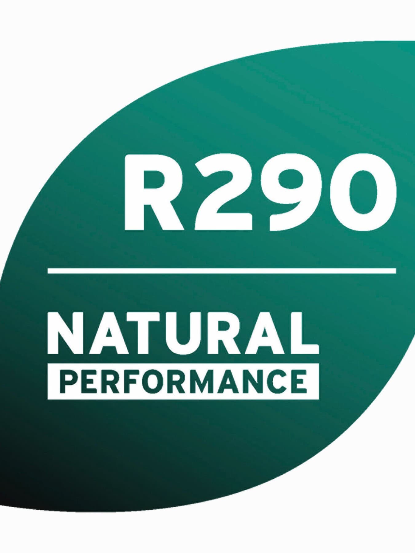 R290 rozeti